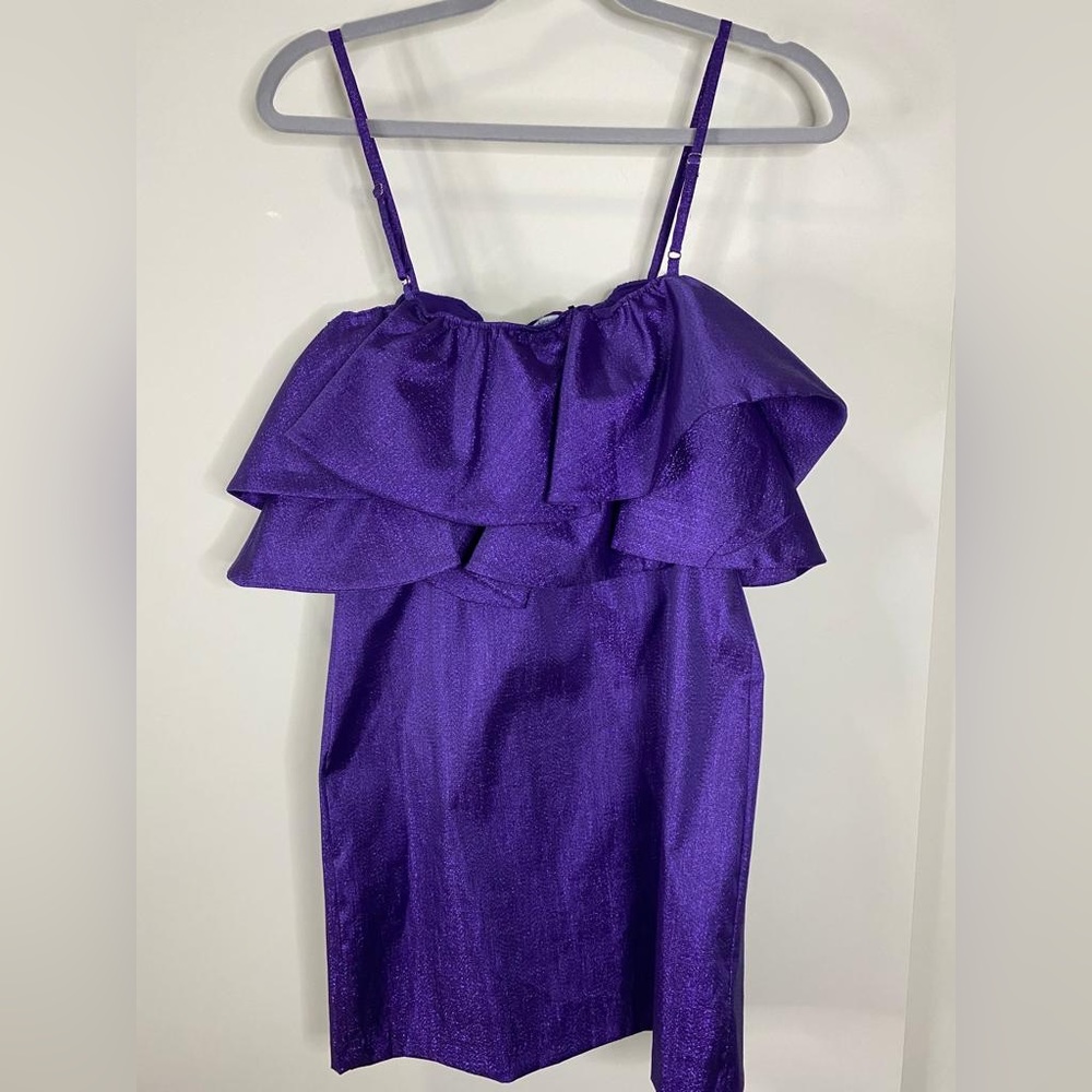 Zara Mini Dress, Size Medium, Color Purple